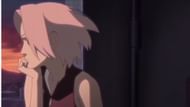 Sakura (image via Pierrot)
